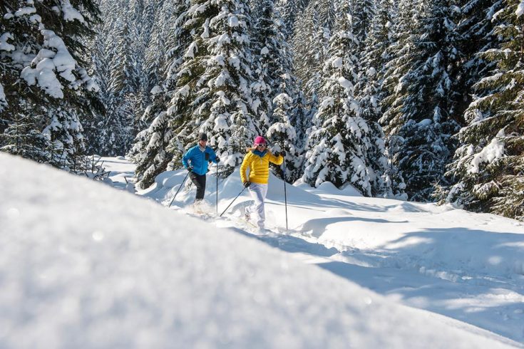 Schneeschuhwandern - Skiurlaub in Zauchensee, Ski amadé
